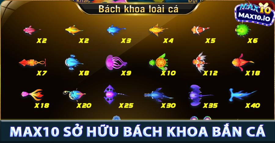 Max10 sở hữu bách khoa các loài cá trong game